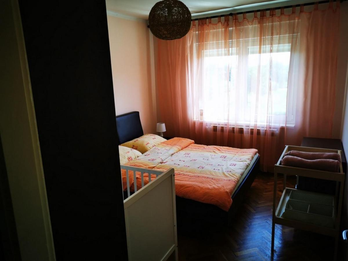 Apartmant Sandra - Big Terace And Free Parking Apartamento Karlovac Exterior foto