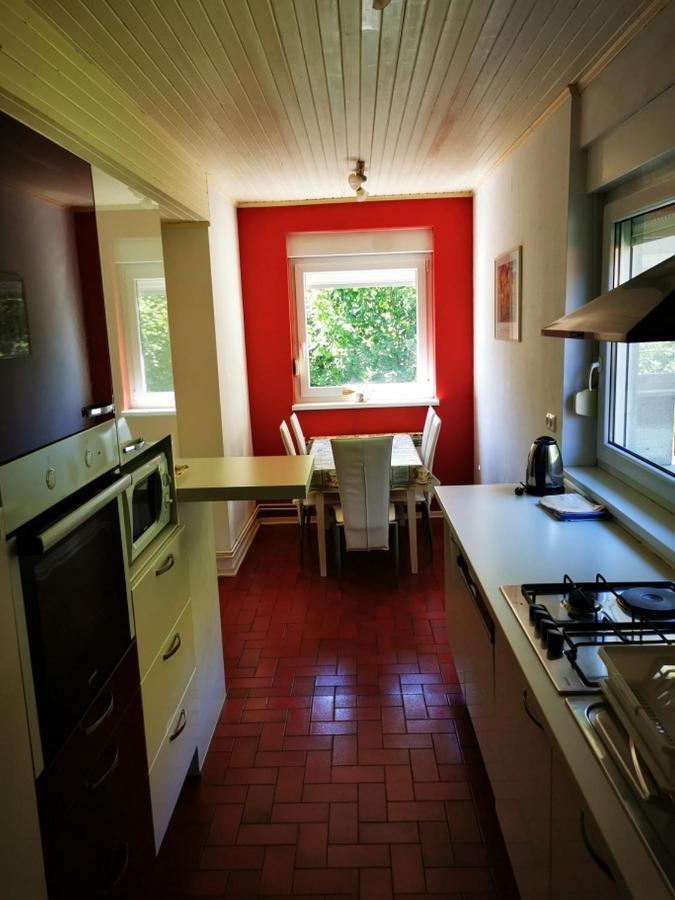 Apartmant Sandra - Big Terace And Free Parking Apartamento Karlovac Exterior foto