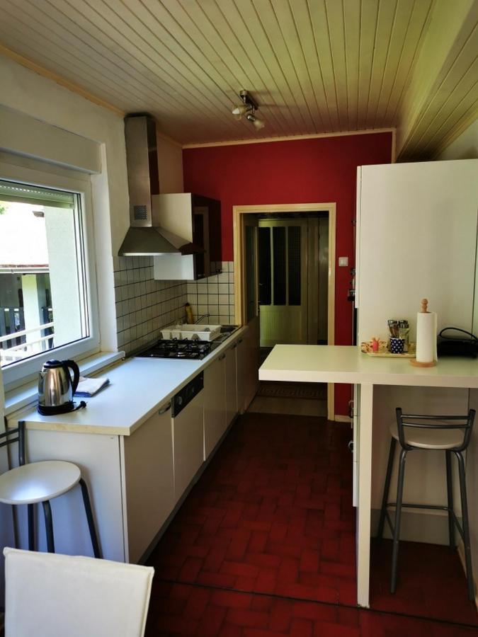 Apartmant Sandra - Big Terace And Free Parking Apartamento Karlovac Exterior foto